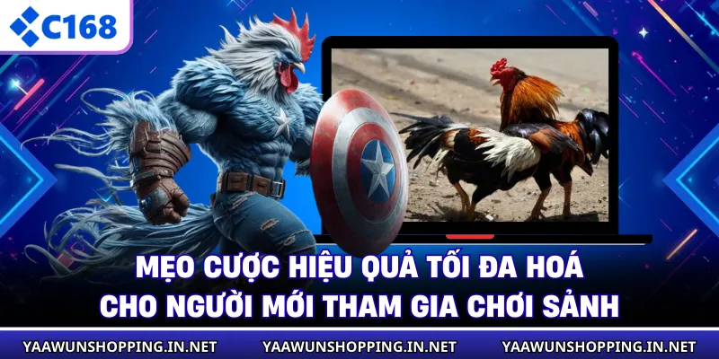 Mẹo cược hiệu quả tối đa hoá cho người mới tham gia chơi sảnh