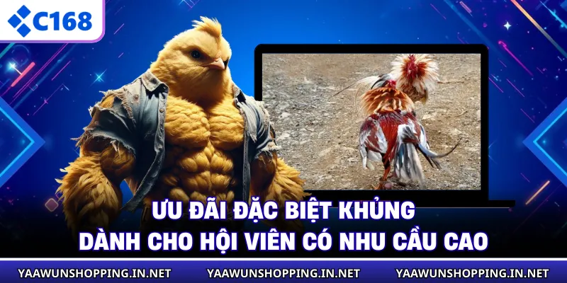 Ưu đãi đặc biệt khủng dành cho hội viên có nhu cầu cao
